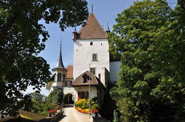 Schloss (Foto Franziska Ryter 2012)