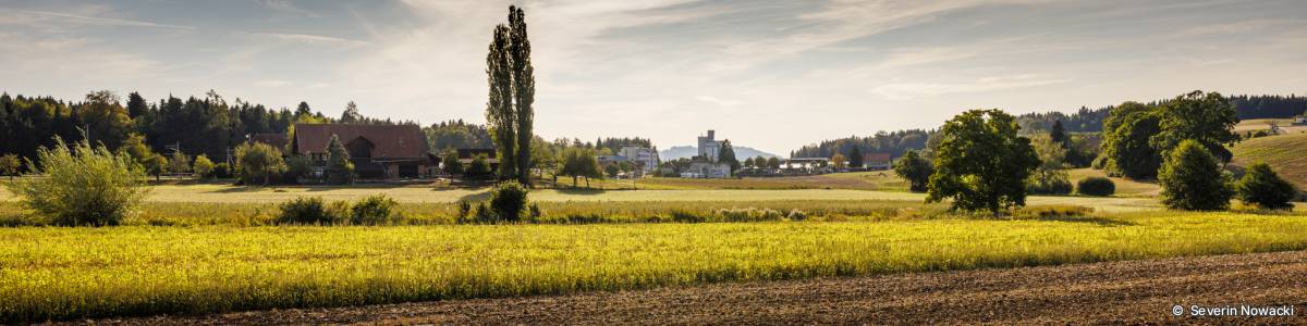Blick von Niderhus via Schluchbüel auf Landi Worb SBB