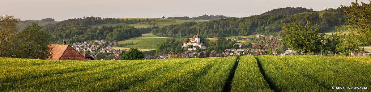 Blick über Kornfeld auf Dorf und Schloss Worb