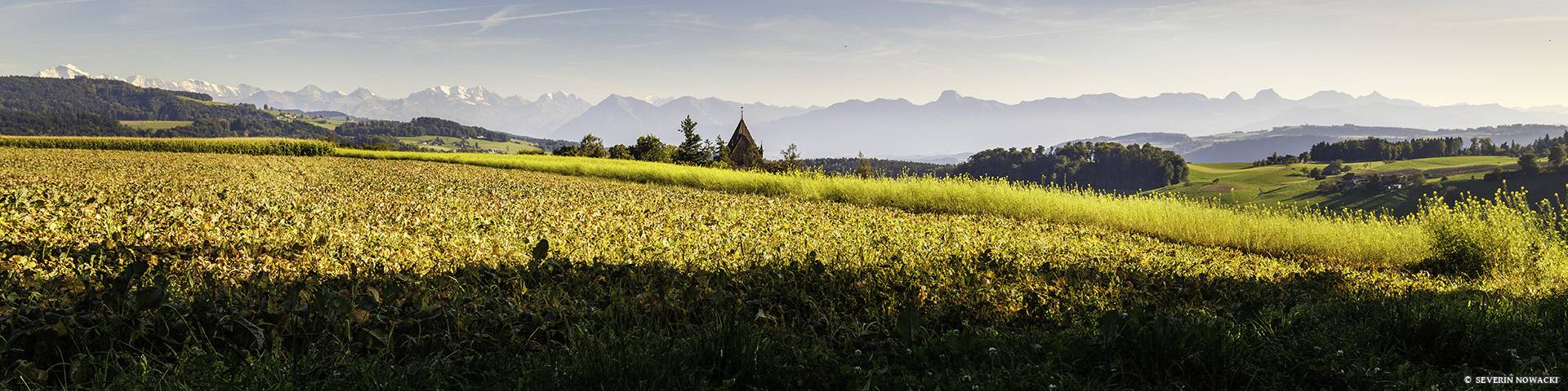 Blick über den Schlossacker auf die Berner aApen
