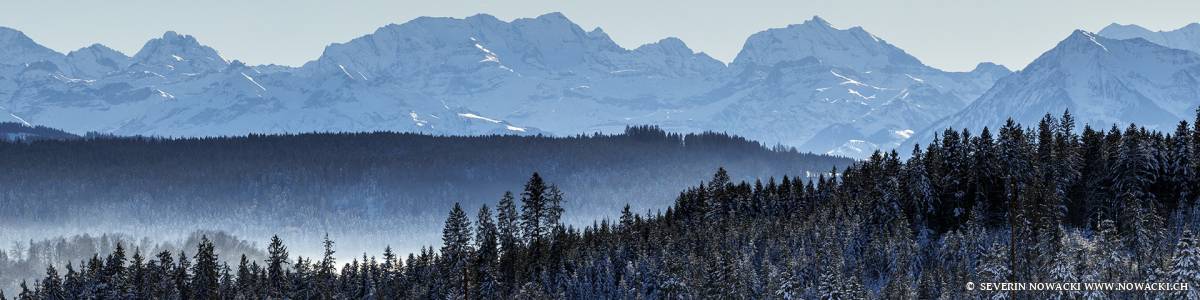 Blick vom Worbberg auf die Berner Alpen mit Blüemlisalp
